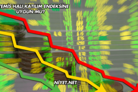 Artemis Halı Katılım Endeksine Uygun mu?