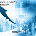 Bor Şeker Katılım Endeksine Uygun mu?