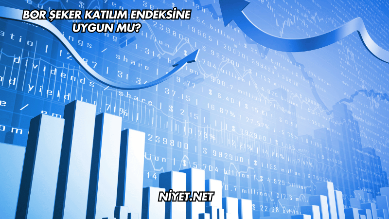 Bor Şeker Katılım Endeksine Uygun mu?