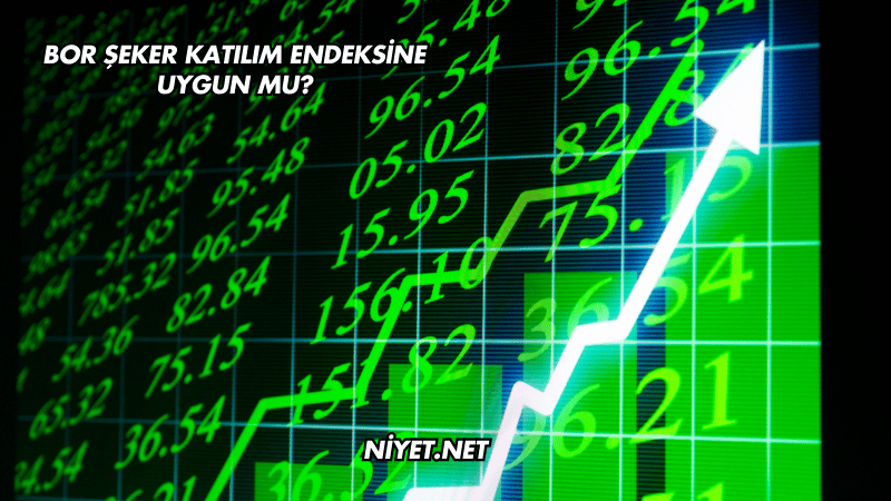 Bor Şeker Katılım Endeksine Uygun mu?