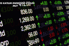 Ekos Katılım Endeksine Uygun mu?