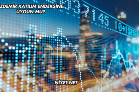 İzdemir Katılım Endeksine Uygun mu?