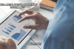Mega Metal Katılım Endeksine Uygun mu?