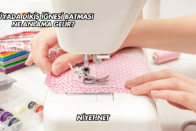 Rüyada Dikiş İğnesi Batması Ne Anlama Gelir?