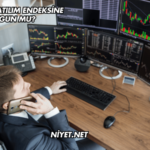 Tüpraş Katılım Endeksine Uygun mu?