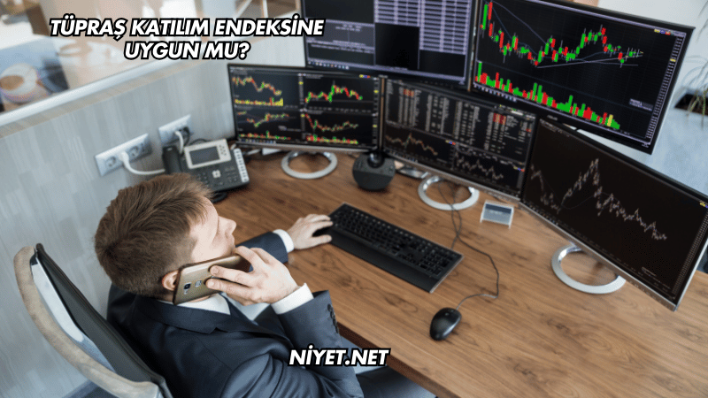 Tüpraş Katılım Endeksine Uygun mu?