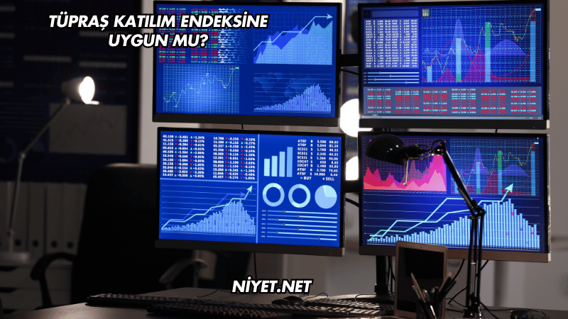 Tüpraş Katılım Endeksine Uygun mu?